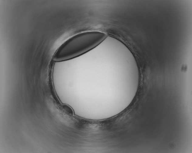 X0000113130344200910021421