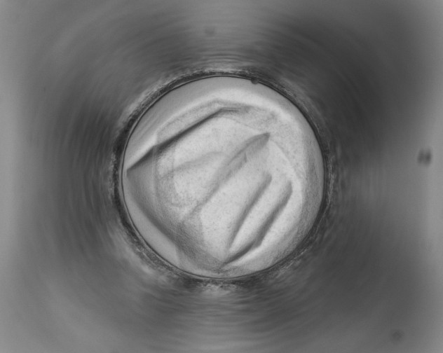 X0000113130346200910021421