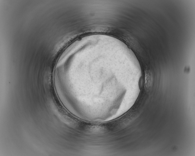 X0000113130348200910021421