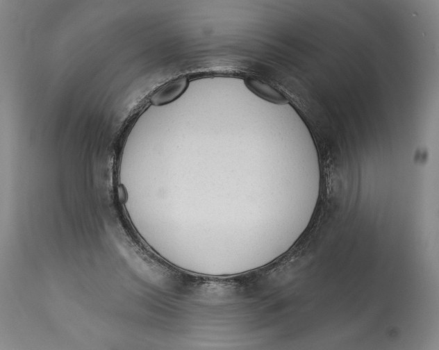 X0000113130350200910021421