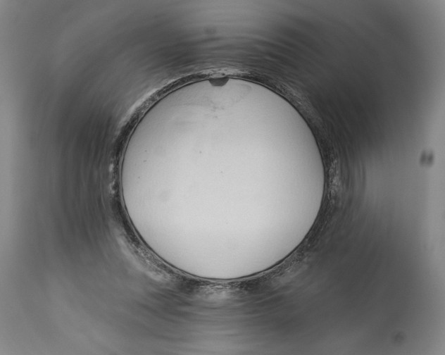 X0000113130351200910021421