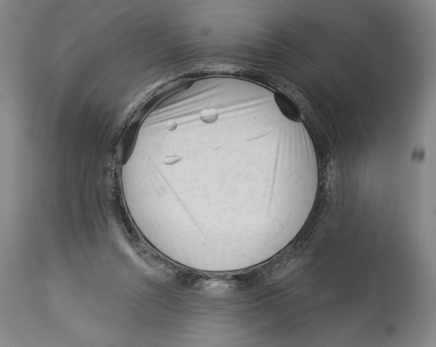 X0000113130352200910021421