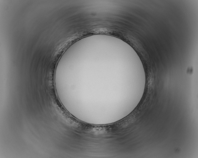 X0000113130353200910021421