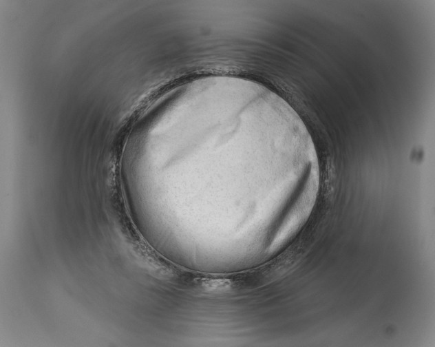 X0000113130355200910021421