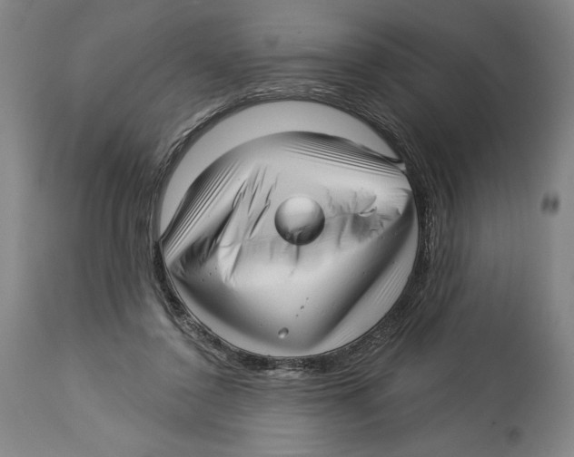 X0000113130356200910021421