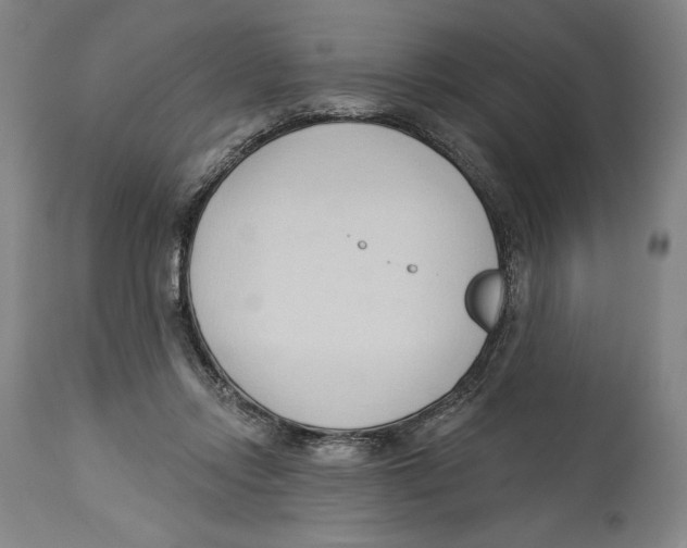 X0000113130358200910021421