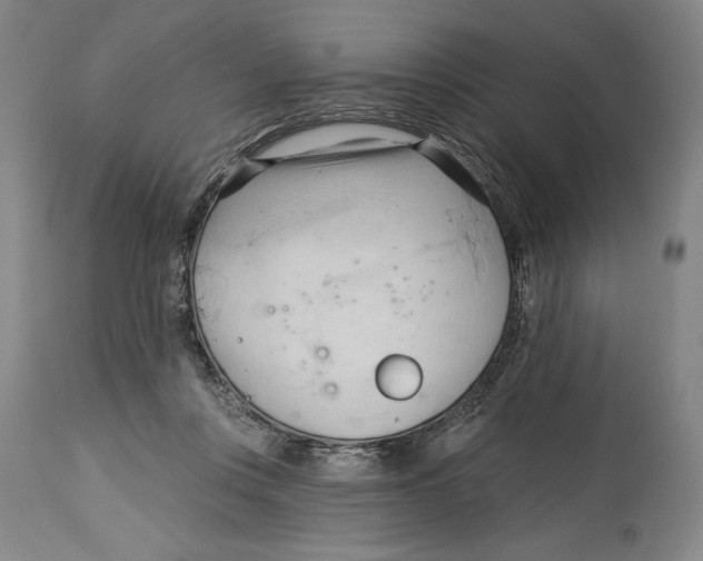 X0000113130359200910021421