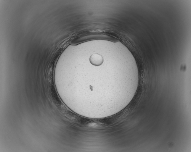 X0000113130364200910021422