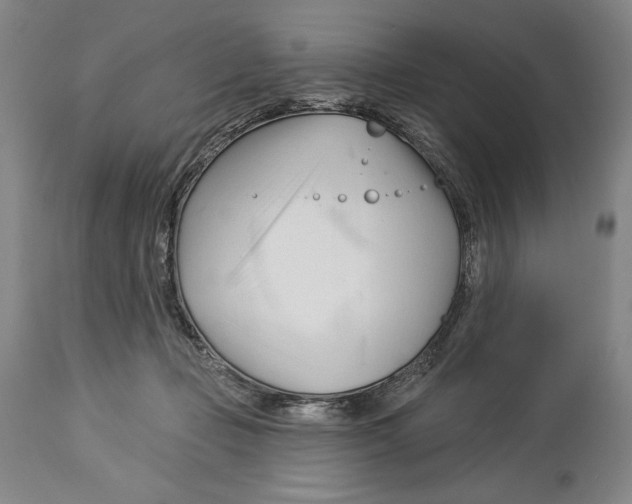 X0000113130365200910021422