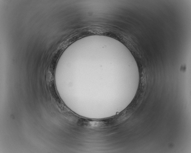 X0000113130371200910021422