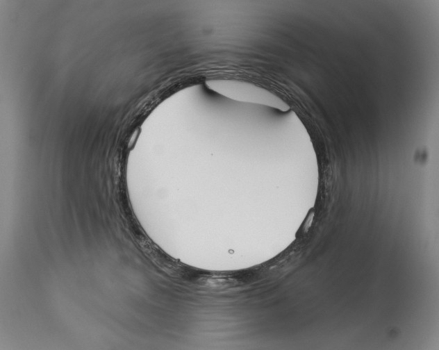 X0000113130372200910021422