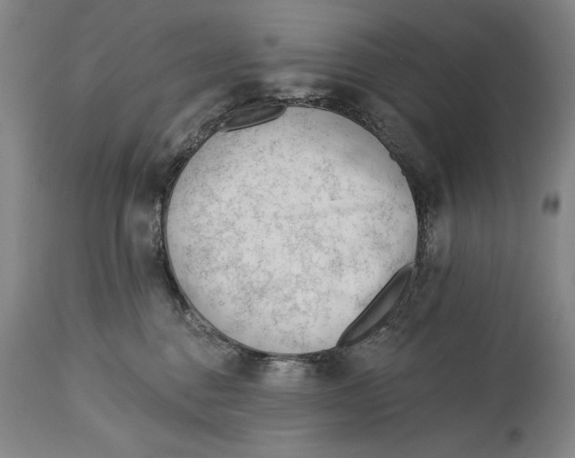 X0000113130376200910021422