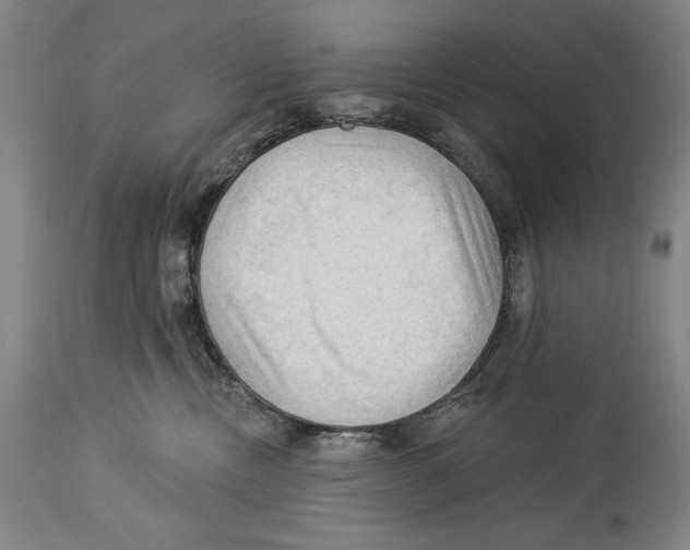 X0000113130378200910021422