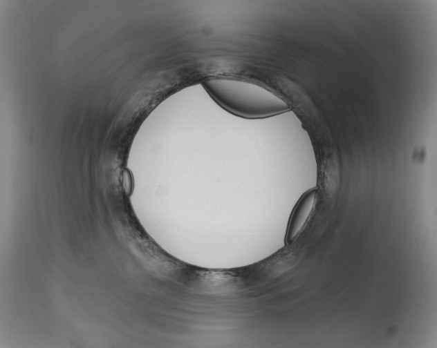 X0000113130380200910021422