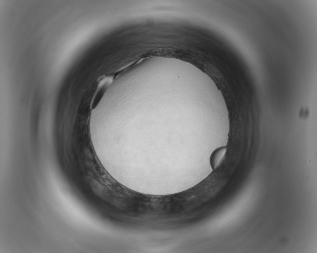 X0000113130383200910021422