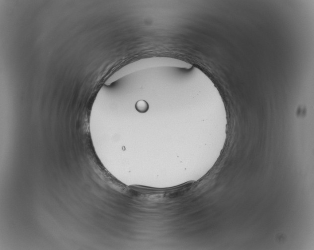 X0000113130384200910021422