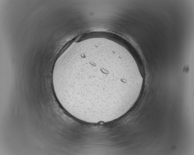 X0000113130385200910021421