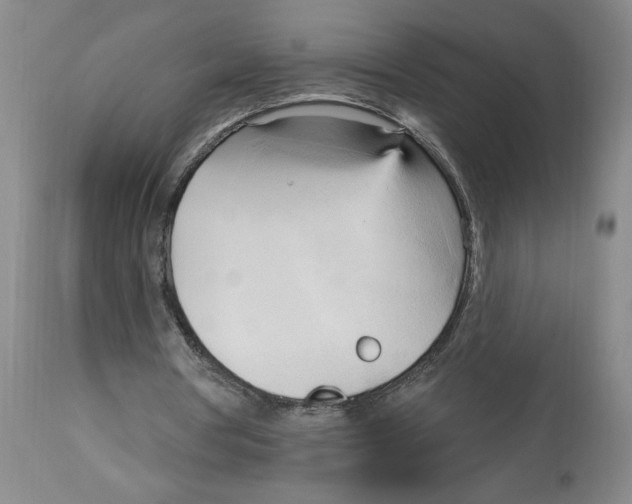 X0000113130386200910021421