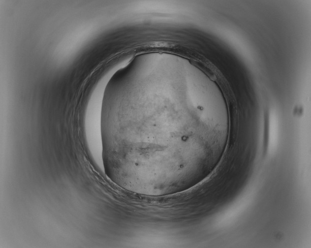 X0000113130387200910021421