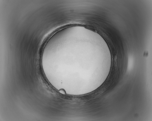 X0000113130388200910021421