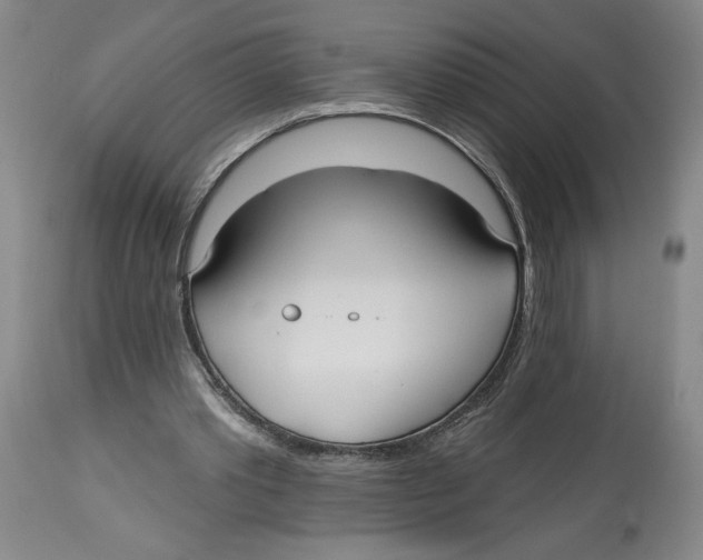 X0000113130389200910021421