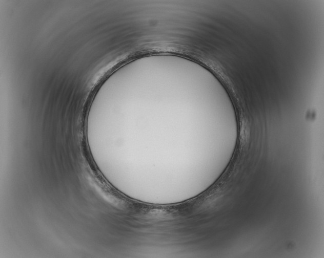 X0000113130390200910021421