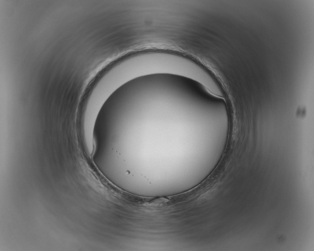 X0000113130391200910021421