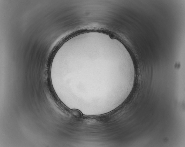 X0000113130392200910021421