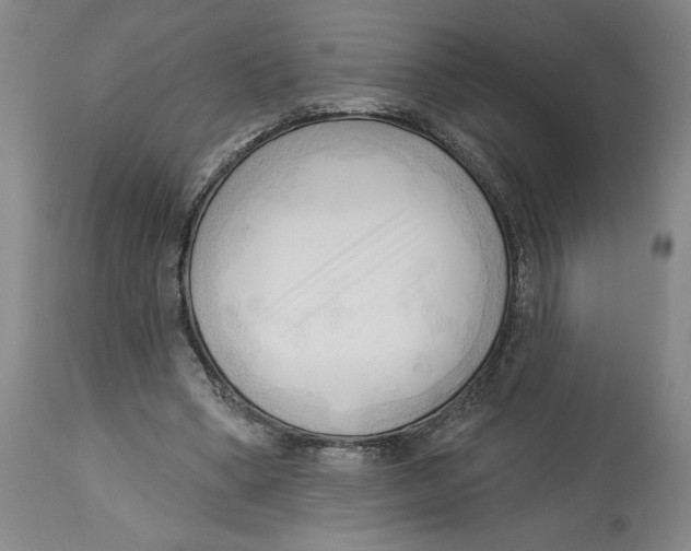 X0000113130394200910021421