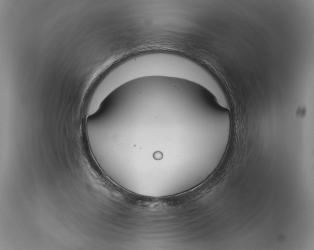 X0000113130395200910021421