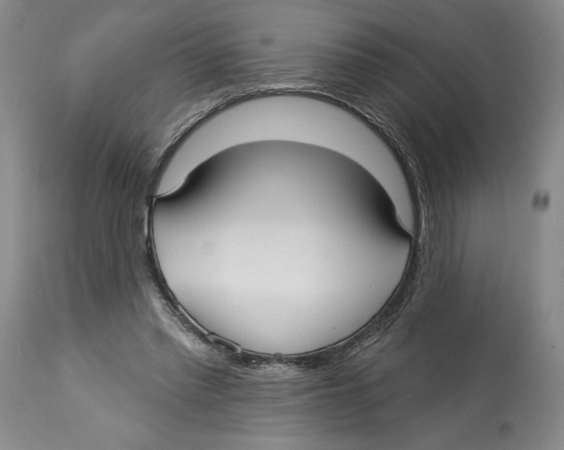 X0000113130397200910021421