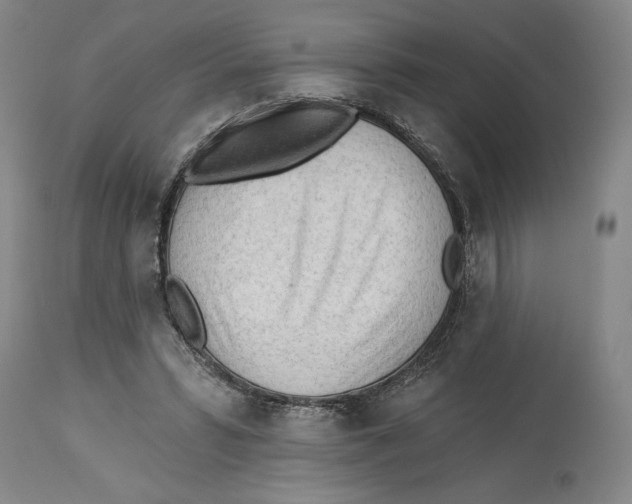 X0000113130399200910021421