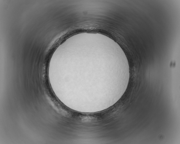 X0000113130400200910021421