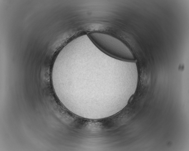 X0000113130403200910021421