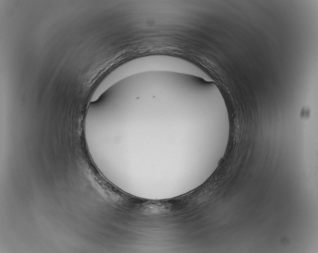 X0000113130405200910021421