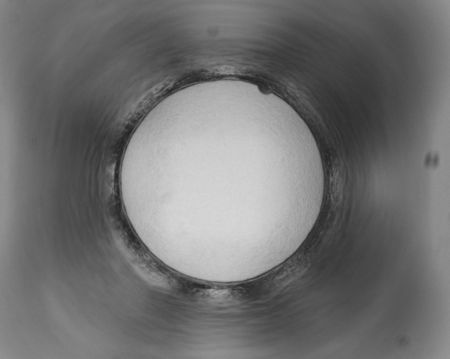 X0000113130406200910021421