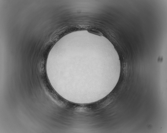 X0000113130408200910021421