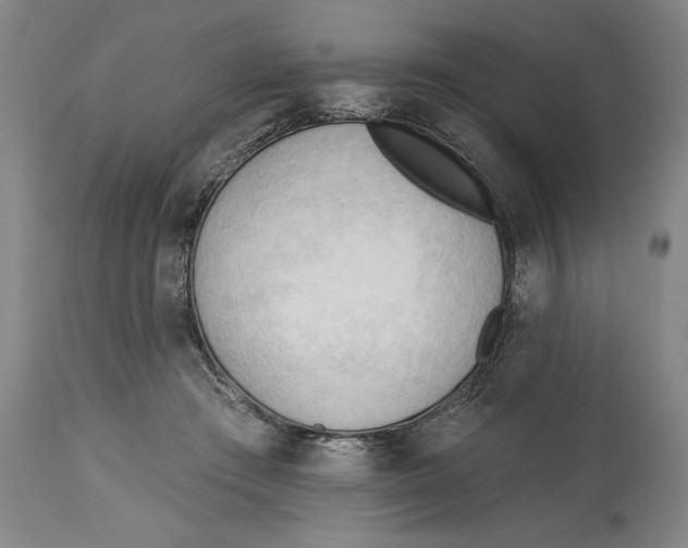 X0000113130409200910021421