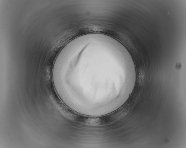 X0000113130410200910021421