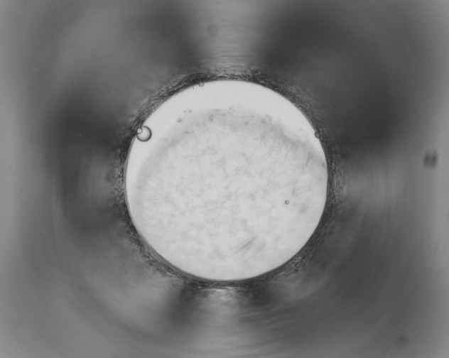 X0000113130411200910021421