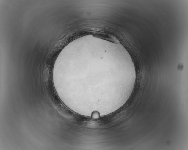 X0000113130412200910021421