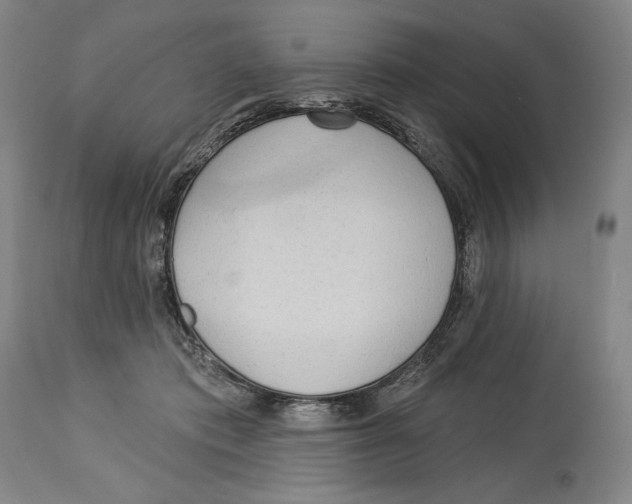 X0000113130413200910021421