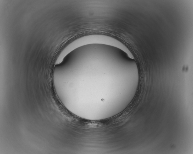 X0000113130415200910021421