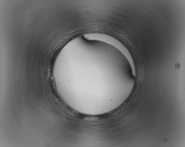 X0000113130417200910021421