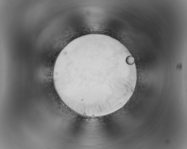 X0000113130419200910021421