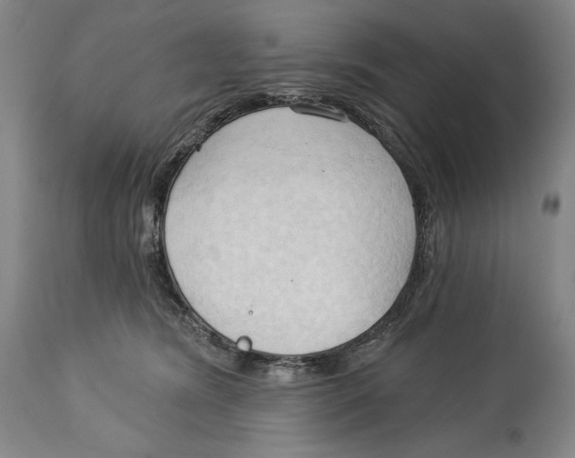 X0000113130420200910021421