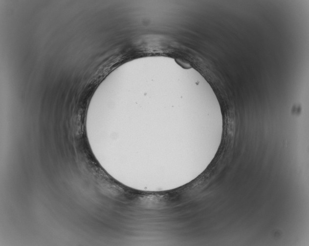 X0000113130422200910021421