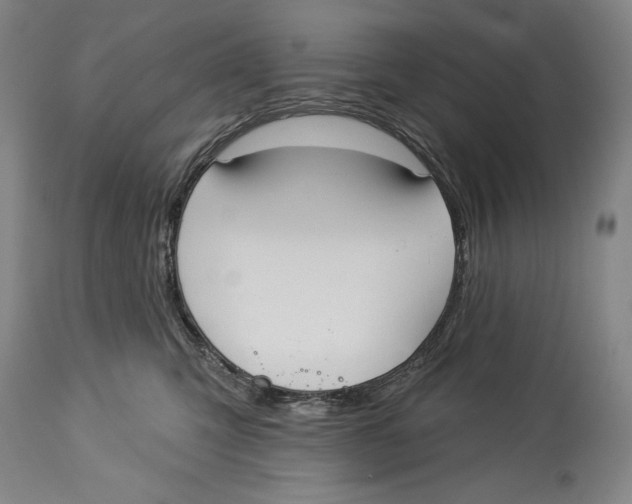 X0000113130423200910021421