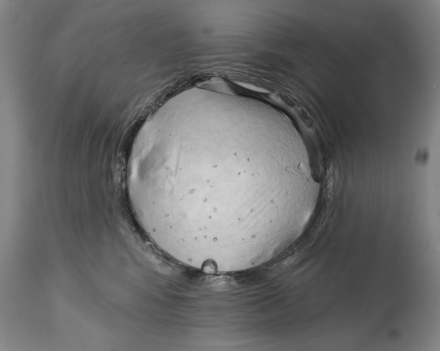 X0000113130424200910021421