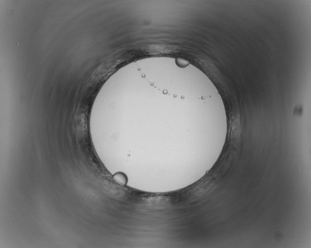 X0000113130426200910021421